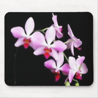 Tapis De Souris Orchidée