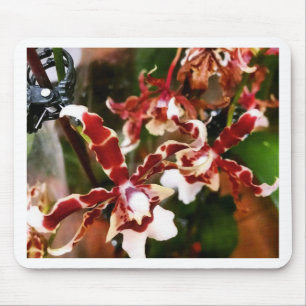 Tapis De Souris Orchidée