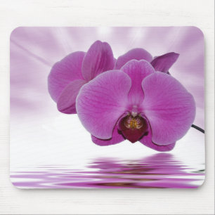 Tapis De Souris Orchidée Aurora