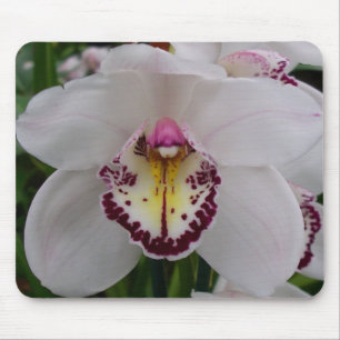 Tapis De Souris Orchidée blanche II Élégante florale