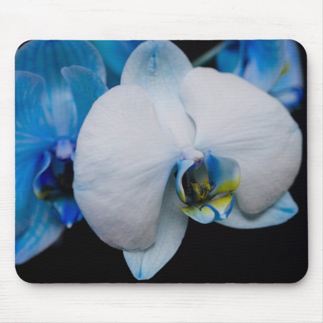 Tapis De Souris Orchidée bleue Mousepad (Devant)