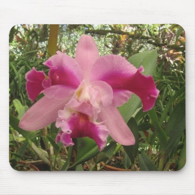 Tapis De Souris Orchidée de Rican de côte (Devant)