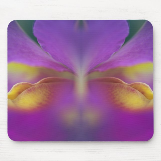 Tapis De Souris Orchidée hybride, Floride 2 (Devant)