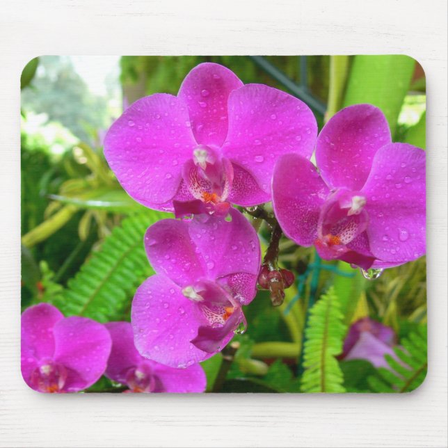 Tapis De Souris Orchidée pourpre (Devant)