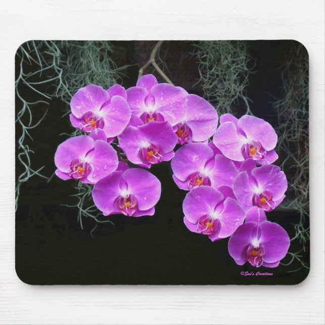 Tapis De Souris Orchidées Baisées À La Neige (Devant)