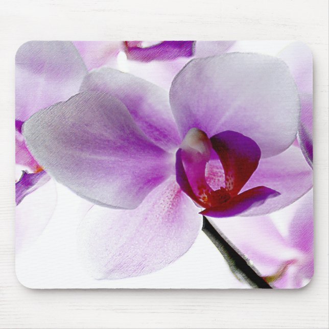 Tapis De Souris Orchidées blanches (Devant)