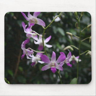Tapis De Souris Orchidées pourpres