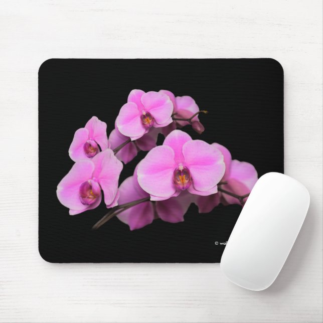 Tapis De Souris Orchidées roses élégantes Phalaenopsis Fleurs sur  (Avec souris)