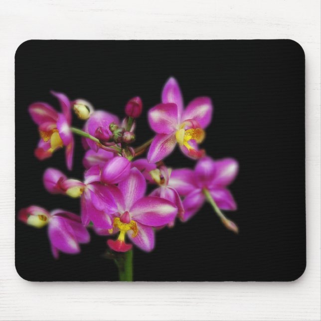 Tapis De Souris Orchidées violettes sur fond noir (Devant)