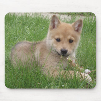 Tapis De Souris Ordinateur mignon Mousepad de chiot
