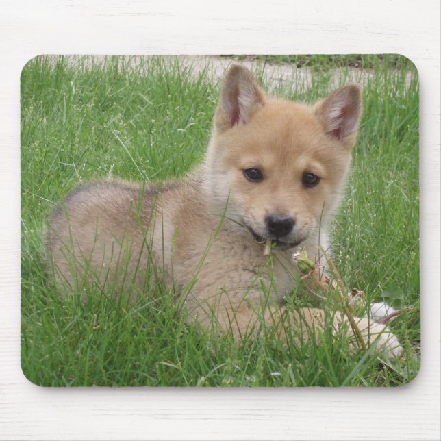 Tapis De Souris Ordinateur mignon Mousepad de chiot (Devant)