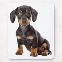 Ordinateur Mousepad de chiot de teckel d'amour