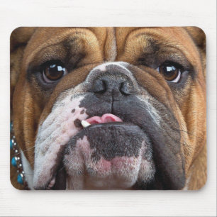 Tapis De Souris Oreillers à lancer de Bulldog anglais