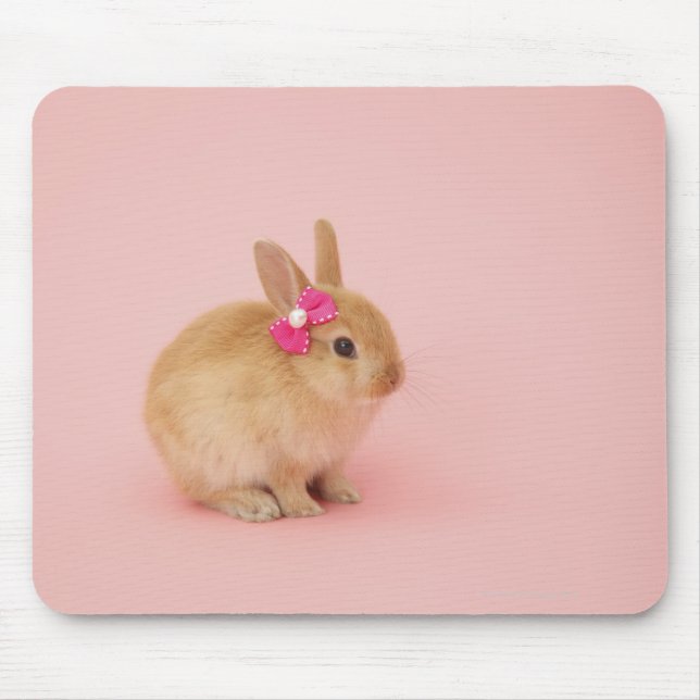 Tapis De Souris Oryctolagus cuniculus 2 (Devant)