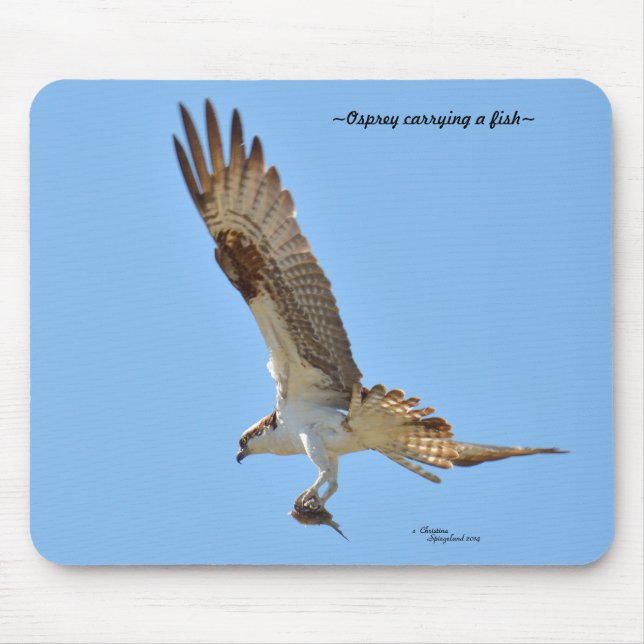 Tapis De Souris Osprey transportant du poisson Mousepad (Devant)