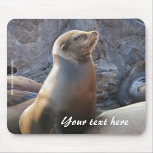 Tapis de souris Otaries