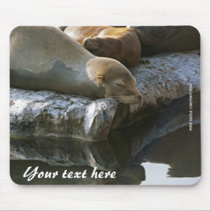 Tapis de souris Otaries