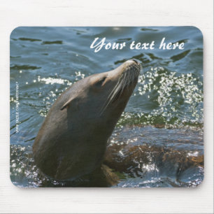 Tapis de souris Otaries