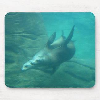Tapis De Souris Otaries Mousepad