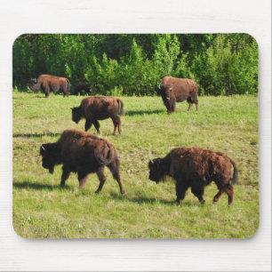 Tapis De Souris Où les bisons rôdent