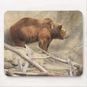 Tapis De Souris Ours