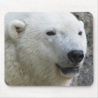 Tapis De Souris Ours blanc