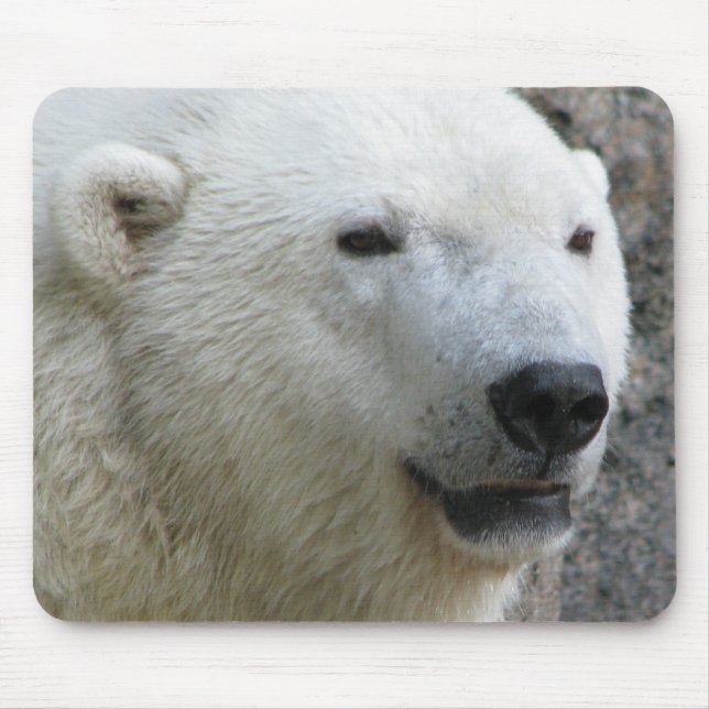 Tapis De Souris Ours blanc (Devant)