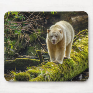 Tapis De Souris Ours blanc Colombie-Britannique, Canada