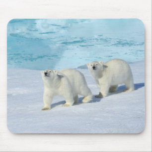 Tapis De Souris Ours blanc, deux tasses sur la banquise, Ursus