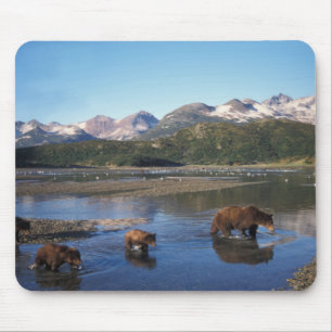 Tapis De Souris Ours brun, grizzly, truie et oursons dans