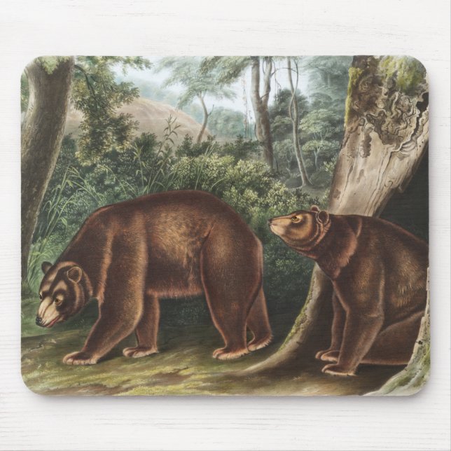 Tapis De Souris Ours de cannelle (Ursus Americanus var. Cinnamonum (Devant)