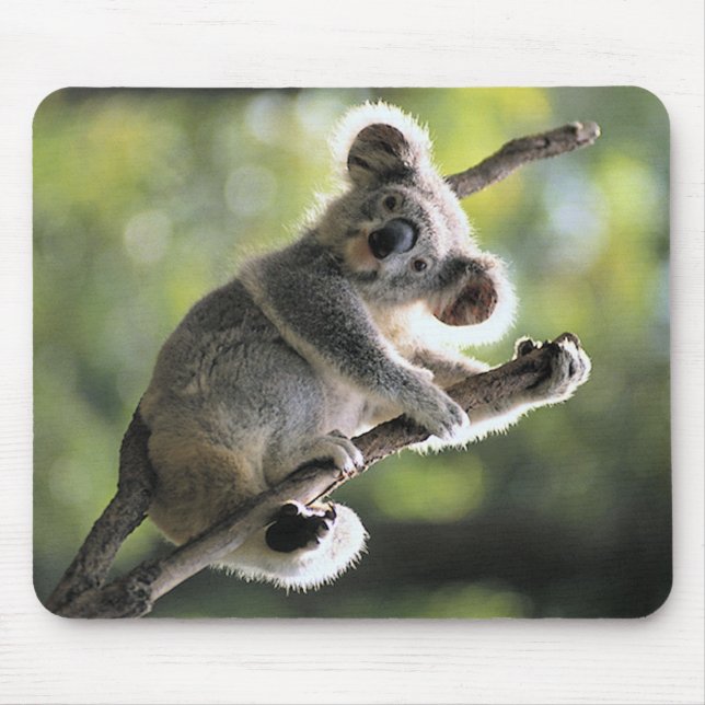 Tapis De Souris Ours de koala (Devant)