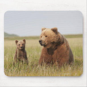 Tapis De Souris Ours gris avec CUB