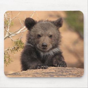 Tapis De Souris Ours gris CUB