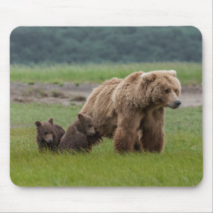 Tapis De Souris Ours grizzly mère avec deux oursons