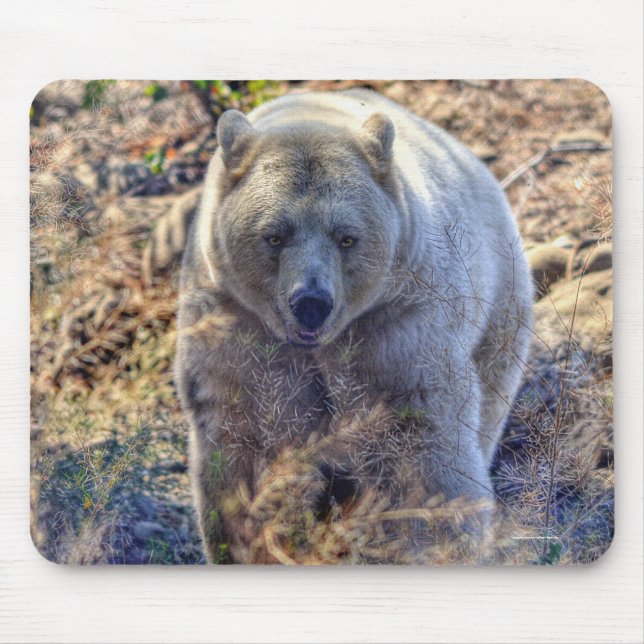 Tapis De Souris Ours Kermode Rare (Ours Esprit) Photo Faune (Devant)