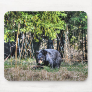 Tapis De Souris Ours Noir Sauvage Cub & Forêt Faune Photo #Gift