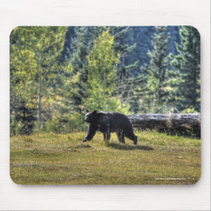 Tapis De Souris Ours Noir Traversant Un Pâturage De Ranch