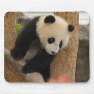 Tapis De Souris Ours panda géant Mousepad