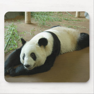 Tapis De Souris Ours panda géant Mousepad