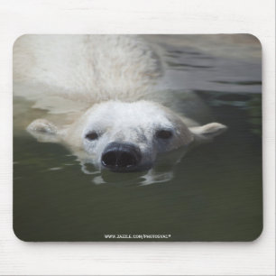 Tapis De Souris Ours polaire