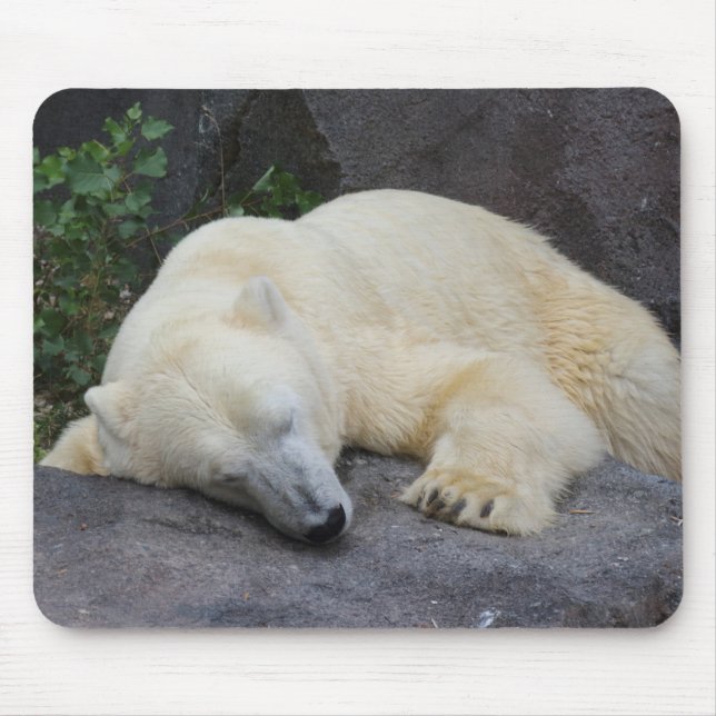 Tapis De Souris Ours polaire dormant (Devant)