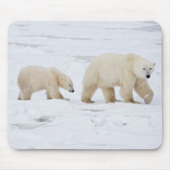Tapis De Souris Ours polaire femelle et deux petits (Devant)