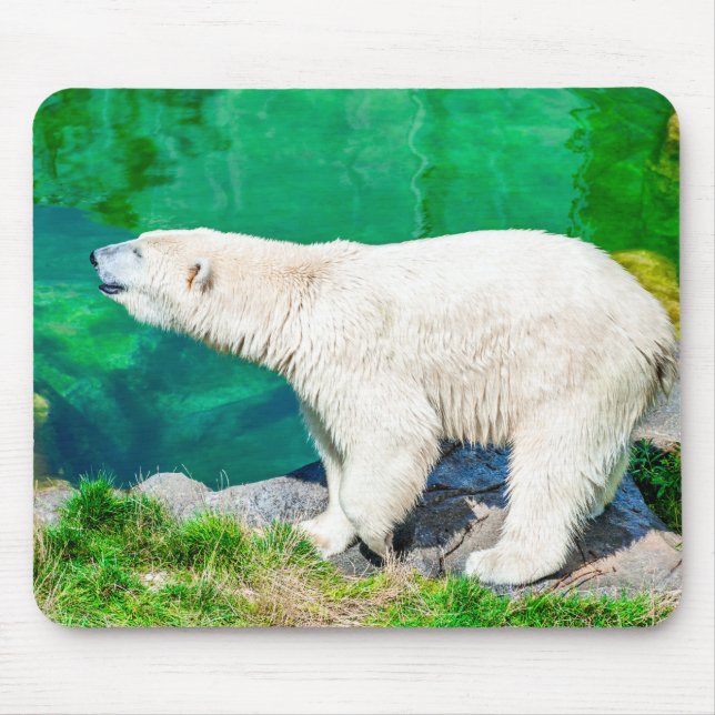 Tapis De Souris Ours polaire Mousepad (Devant)
