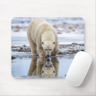 Tapis De Souris Ours polaire regardant son reflet