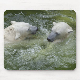 Tapis De Souris Ours Polaires