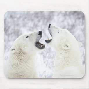 Tapis De Souris Ours polaires jouant dans la neige.