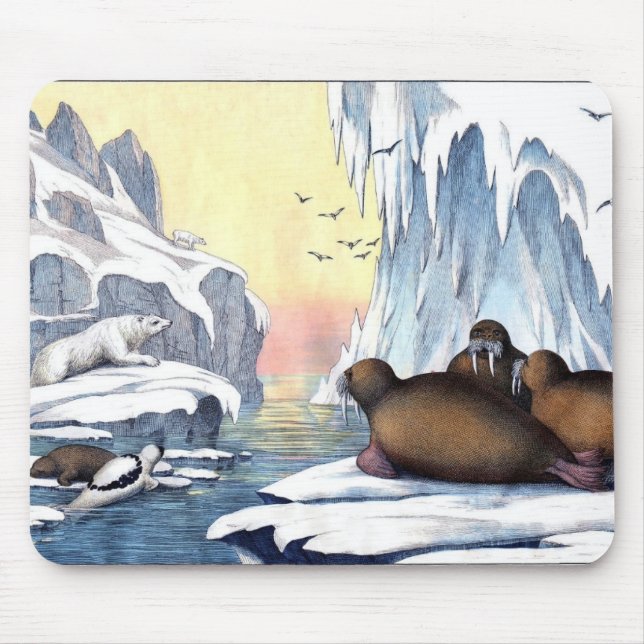 Tapis De Souris Ours Polaires, Walrus Et Phoques (Devant)