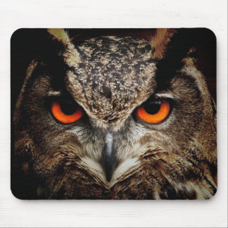 Tapis De Souris Owl Beauty