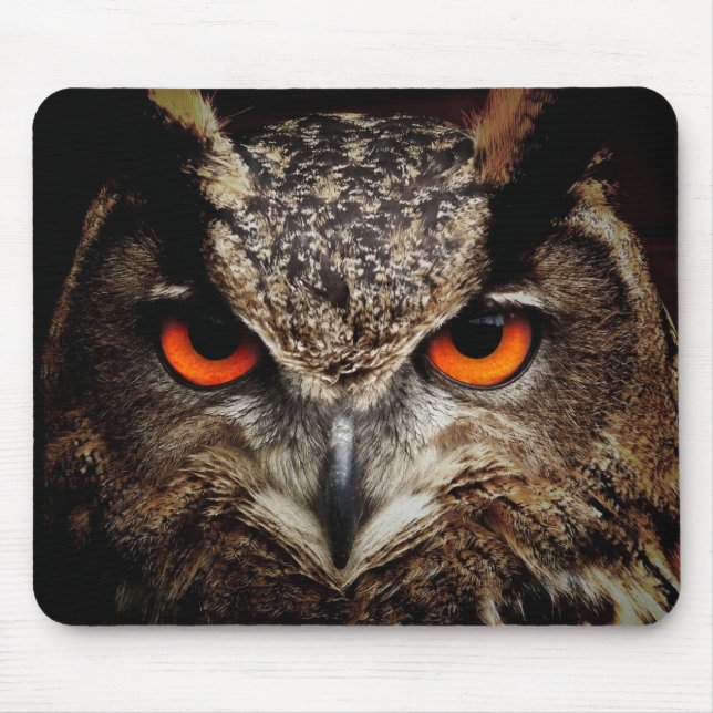 Tapis De Souris Owl Beauty (Devant)